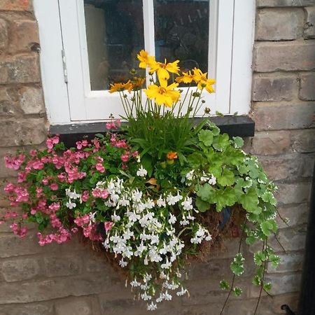 Delighful Self Catering In The Heart Of Glastonbury Zewnętrze zdjęcie