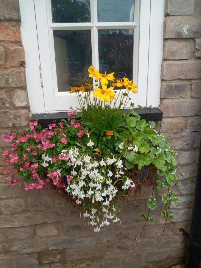 Delighful Self Catering In The Heart Of Glastonbury Zewnętrze zdjęcie